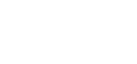 Dallas Nichols Logo